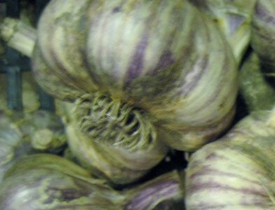 Gourmet Garlic: Purple Stripes Image